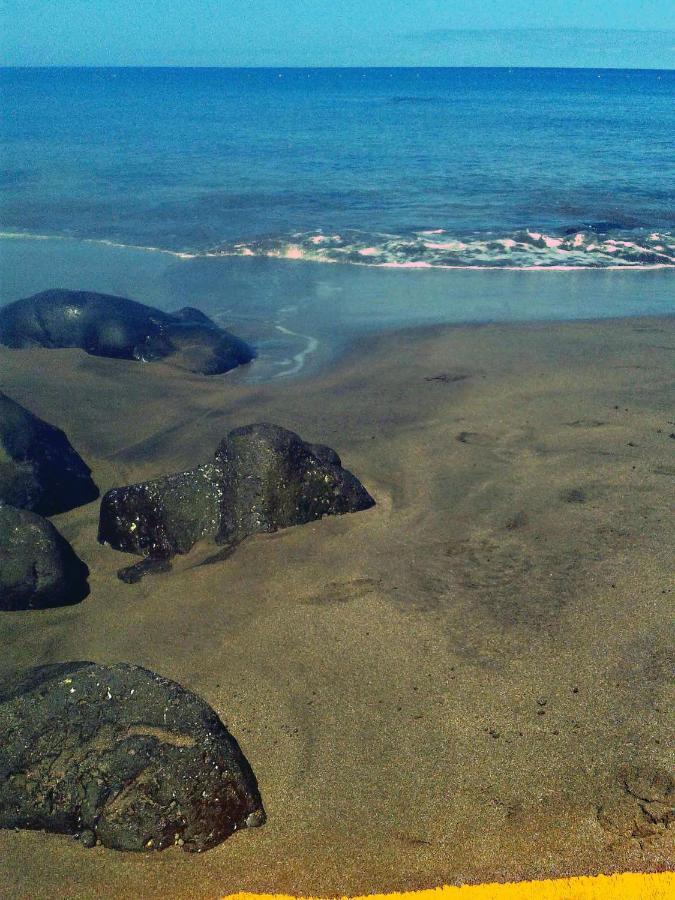 Apartamento a 1 minuto de la Playa de Sardina Las Palmas de Gran Canaria Exterior foto